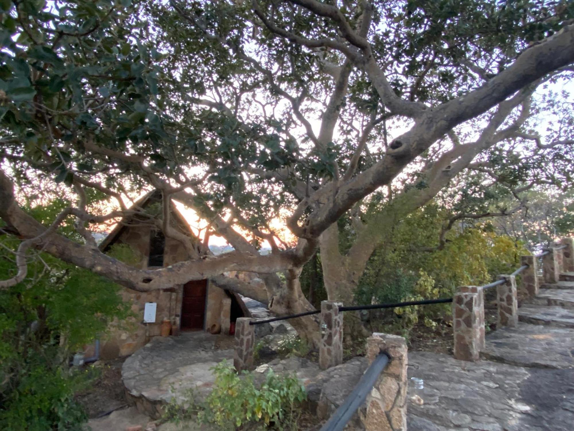 Big Cave Camp Villa Matopos Exterior foto